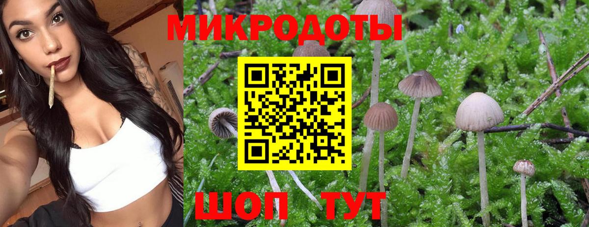 Галлюциногенные грибы GOLDEN TEACHER Уссурийск