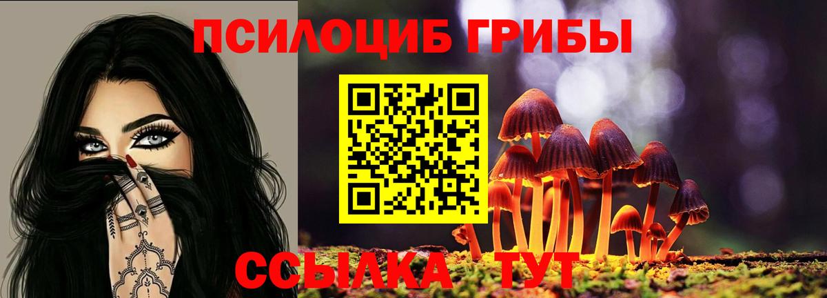 Уссурийск  Псилоцибиновые грибы мицелий  Вход с VPN  Галлюциногенные грибы MAGIC MUSHROOMS 